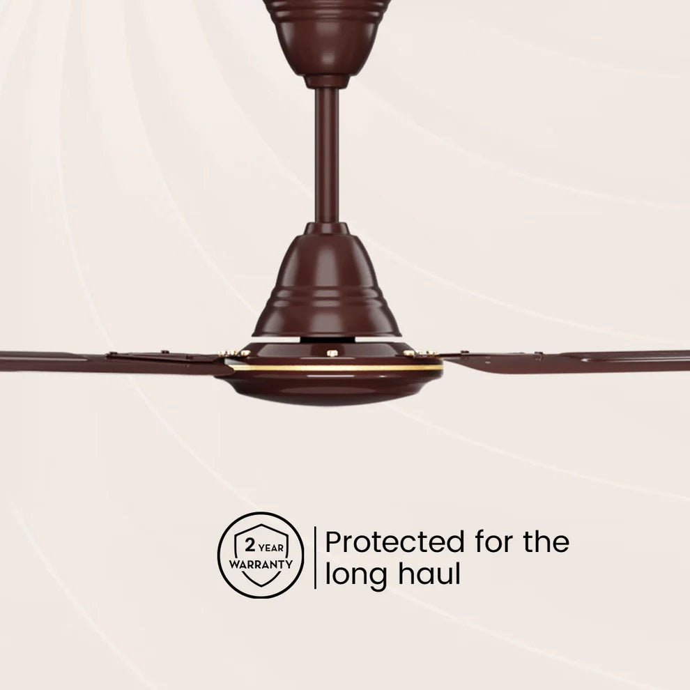 Crompton Sea Bliss 48-inch Ceiling Fan Lusture Brown