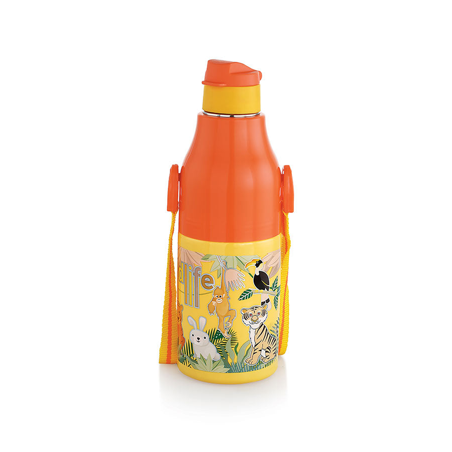 Rishabh COOL AVATAR 600 Insulated Water Bottle 600ml, Multicolour