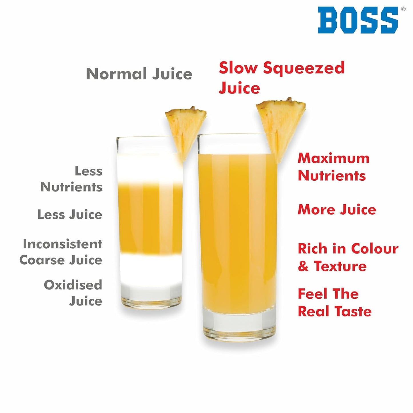 BOSS Fauna Slow Juicer, Professional Cold Press Whole Slow Juicer, 200 Watts | All-in-1 Fruit & Vegetable Juicer, Grey